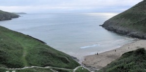 Mwnt6